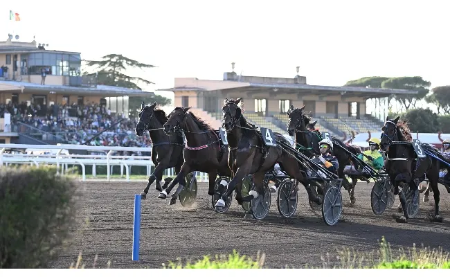 Ippica, sabato 19 ottobre torna il trotto all’Ippodromo Capannelle. Domenica 27 grande attesa per il Roma Champions Day di galoppo