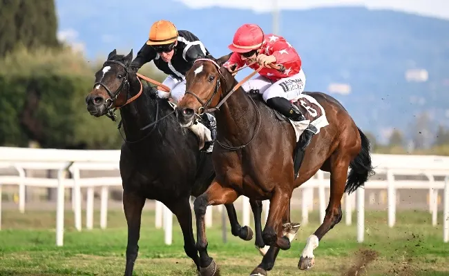 Ippica, Ippodromo Capannelle: Roma Champions Day, a Charlotte’s Web il Lydia Tesio. Woodchuk trionfa nel Premio Roma, solo un secondo posto per Antico Moro di Max Allegri nel Premio Berardelli