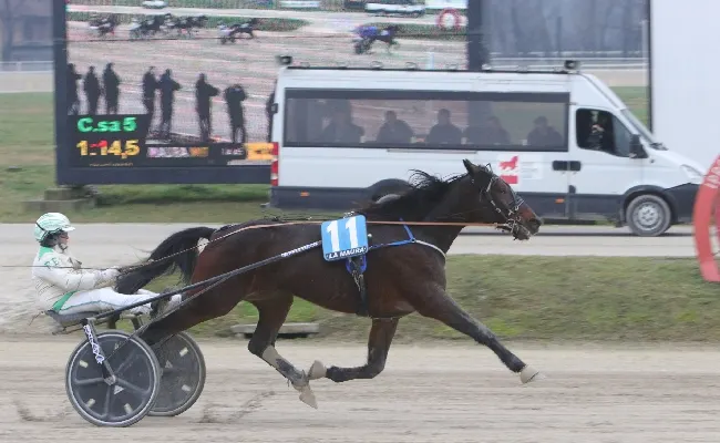 Ippica, all'Ippodromo Snai La Maura si torna in pista il 5 gennaio col Premio Algiers Hall