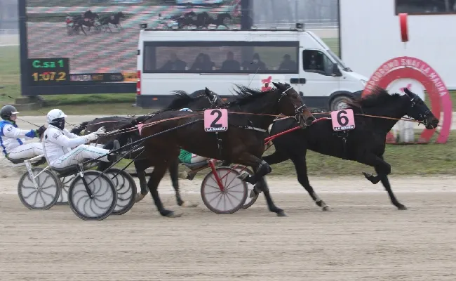Ippica, all’Ippodromo Snai La Maura di nuovo in pista con l’appuntamento di giovedì con il Premio Napoleon Bar e il Trotto Montato