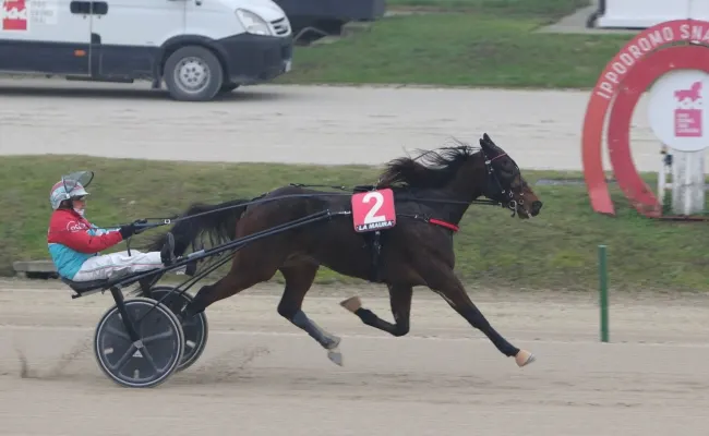 Ippica, all'Ippodromo Snai La Maura di Milano nuova giornata di corse: appuntamento a giovedì con sette prove tra cui spicca il Premio Glow di Jesolo