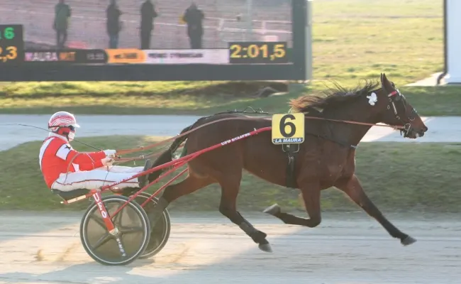 Ippica, all’Ippodromo Snai La Maura l'ultima domenica di gennaio ha regalato tre successi importati al training Fausto Barelli