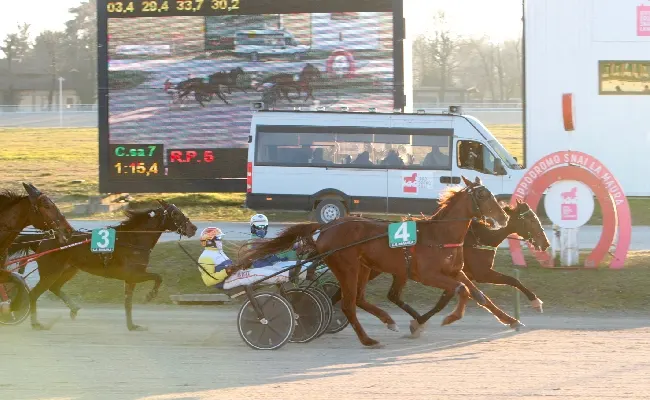 Ippica, la 'prima' di febbraio all’Ippodromo Snai La Maura di Milano sorride a Eridamia che ritrova la vittoria