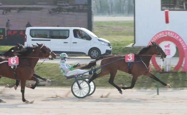 Ippica: all’Ippodromo Snai La Maura Duna di Girifalco fa suo il Premio Mirror Grif, mentre Borg Grif vince il Premio Ruty Grif