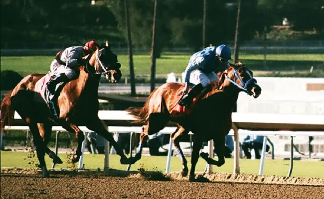 Ippica: Country Grammer cerca il bis nella Dubai World Cup Algiers, trionfo a 4,00 su Sisal.it, sogna il terzo successo del 2023