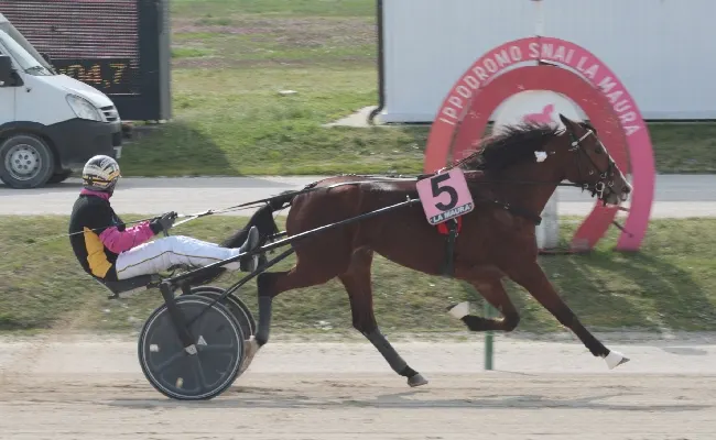 Ippica, all’Ippodromo Snai La Maura nel martedì di corse per l'ultima di marzo, spicca il Premio Allevamento Luccio Zucchetti