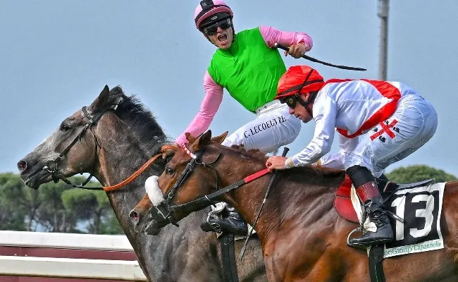 Ippica. Noble Yeats a caccia della storia nel Grand National Gaillard Du Mesnil vuole sorprendere: trionfo ad Aintree a 13 su Sisal.it