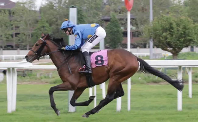 Ippica, all’Ippodromo Snai San Siro mercoledì con la Coppa della SIRE. Nel programma anche l'eliminatoria del circuito San Siro Sprint a partire dalle ore 14.30