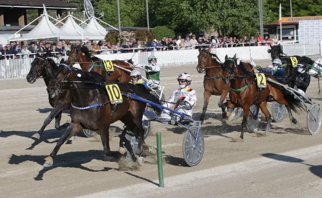 Ippica, all’Ippodromo Snai La Maura di Milano si corre martedì per la 27^ giornata stagionale. In pista sette corse in cui spicca il Premio Scuderia Pink & Black