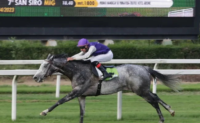 Ippica, nel bel sabato all’Ippodromo Snai San Siro di Milano Sean la spunta nel Premio Ambrosiano, mentre Silver Mission fa suo l’Handicap di Primavera