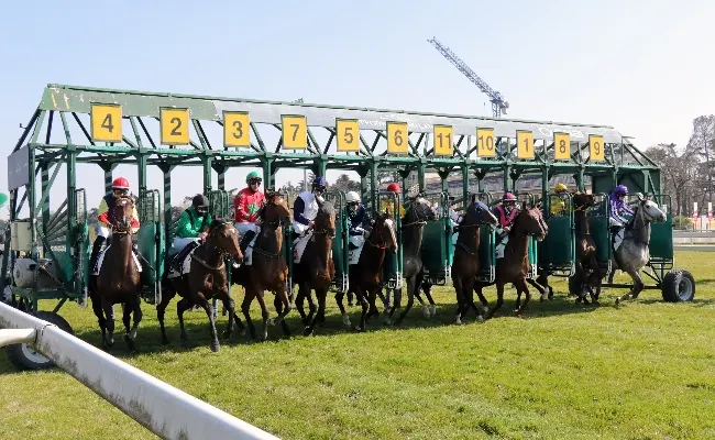 Ippica, Ippodromo Snai San Siro: il Premio Po va a Closer Look; vittorie di Strong Hunter nel Premio Lodi Vecchio, di Beau Shadow nel San Giorgio e di Miss Profile nel Premio BBag