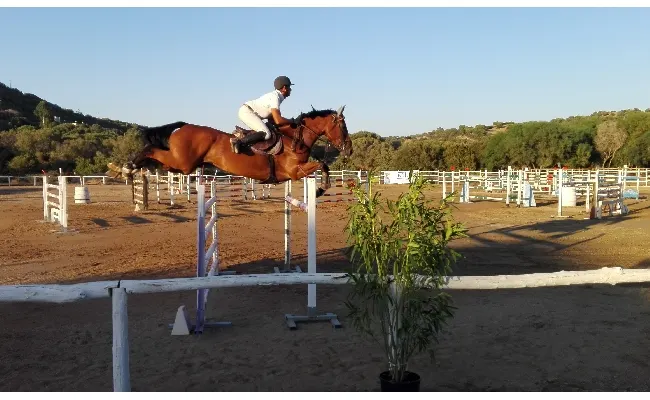 Salto Ostacoli: l'Ippopark Palahorse di Golfo Aranci ospita la Tappa Misaf, il Gran Premio Fise Sardegna, i Campionati sardi e una Tappa del Trofeo dei Nuraghi Agris