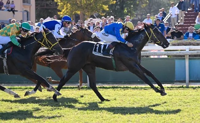 Ippica, Capannelle: galoppo con i Premi Tadolina e Agriformi. Nel weekend Japan Days all'Ippodromo