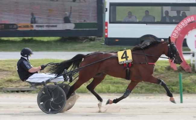 Ippica, all’Ippodromo Snai La Maura di Milano ci voleva una Beautiful Day per vincere il premio Vistamar