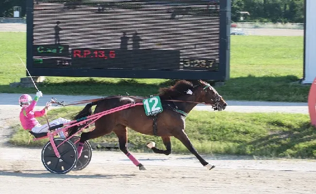 Ippica, Ippodromo Snai La Maura di Milano: nell’ultima di maggio brilla Breila di Casei. Attesa per il 9 giugno con i Gran Premi Nazionale e Nazionale Filly