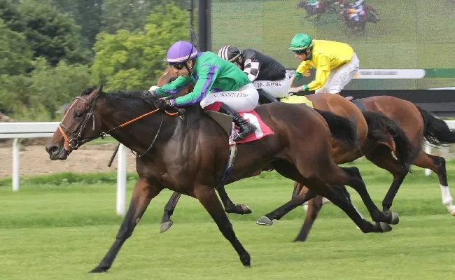 Ippica, Premio Paolo Mezzanotte a Norge, mentre il Bereguardo va ad Aggenstein nel bel sabato di galoppo all’Ippodromo Snai San Siro di Milano