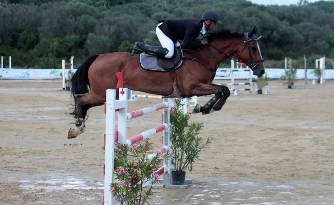 Salto ostacoli: Gianleonardo Murruzzu su Taissa Sarda è il nuovo campione regionale, il cavaliere oristanese vince all'Ippopark di Golfo Aranci