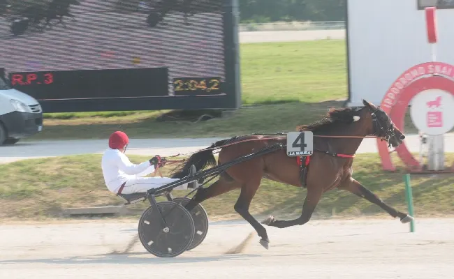 Ippica, all’Ippodromo Snai La Maura di Milano i tre anni terribili di Barelli danno spettacolo nella giornata dedicata agli Alfieri dei Rocca