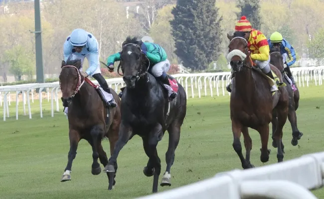 Ippica domenica 18 giugno l'Ippodromo Snai San Siro si veste a festa per il Gran Premio Milano