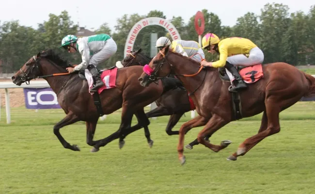 Ippica, la super domenica all’Ippodromo Snai San Siro di Milano ride a Best Of Lips che vince il GP di Milano. Sigillo di Arnis Master e Kolossal nel Carlo Vittadini e nel Premio del Giubileo