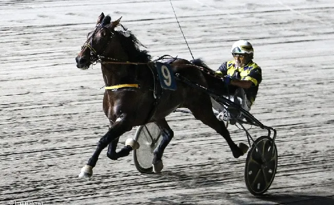 Ippica, Ippodromo Cesena Trotto: resoconto corse venerdì 7 luglio con il Premio Club Ippodromo