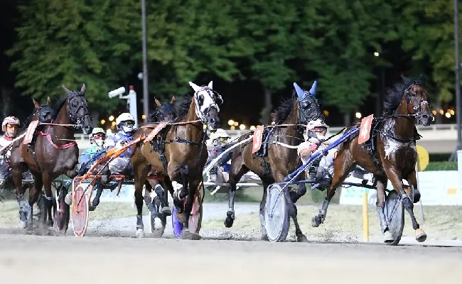 Ippica, Ippodromo Cesena Trotto: Premio A.N.I.O.C. martedì 11 luglio, inizio corse ore 21