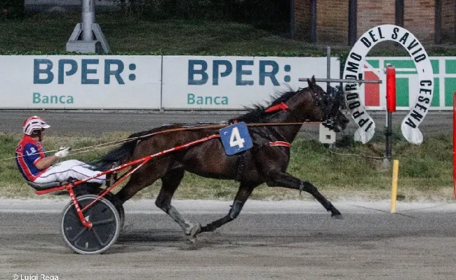 Ippica, Ippodromo Cesena trotto: resoconto corse venerdì 21 luglio