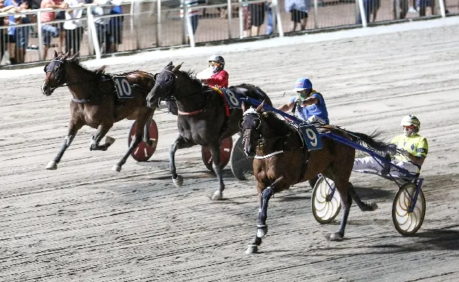 Ippica, Ippodromo Cesena trotto: resoconto corse di martedì 25 luglio 2023
