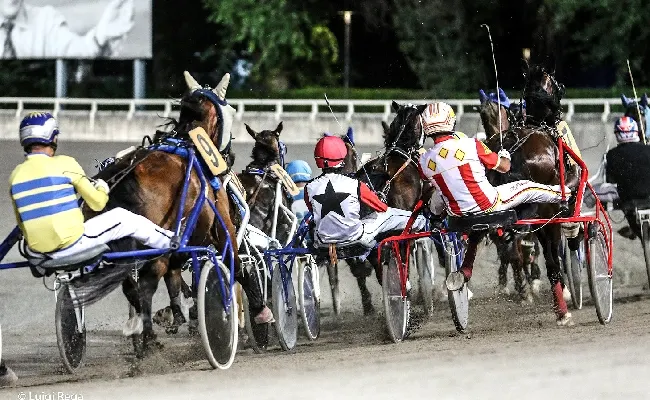 Ippica, Ippodromo Cesena trotto: presentazione delle corse di martedì 1 agosto