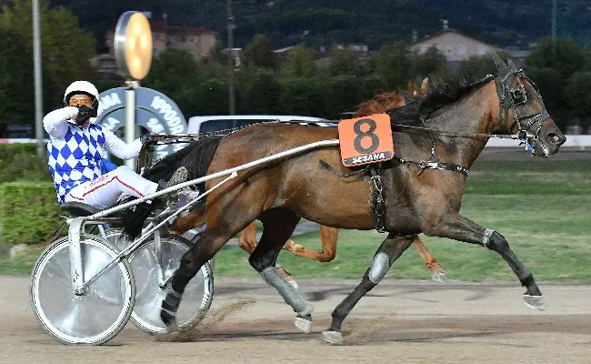 Ippica: all'ippodromo di Sesana, nel primo sabato di agosto, la Corsa delle Pariglie va a Country Gial e Cabral di Casei