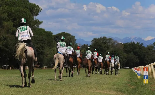Equitazione, concorso completo: all’Haras du Pin il Campionato Europeo 2023