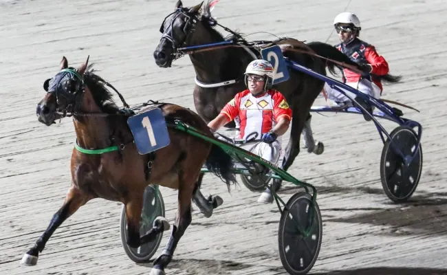 Ippica, Cesena: il "Premio Carlo Mantellini" va a Eland e Vp