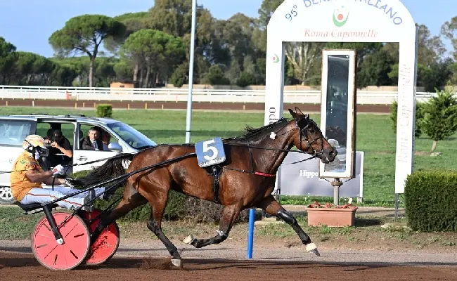 Ippica, Ippodromo Capannelle: sorteggiate le batterie del 96° Derby Italiano del Trotto e delle Oaks del Trotto. Al via anche Enzo Jet, il cavallo di Nikola Jokic