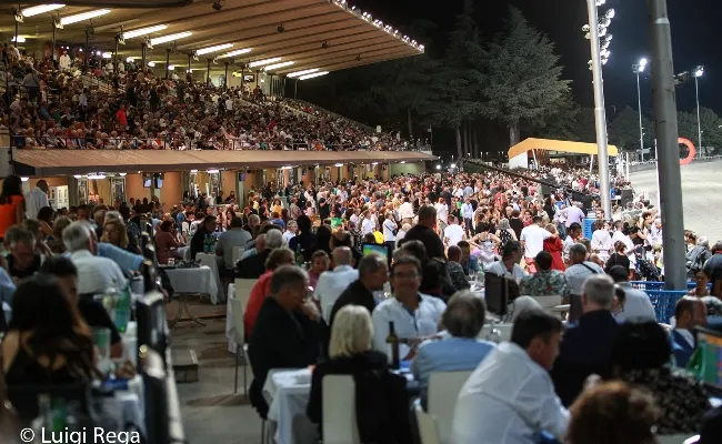 Ippica, Cesena: bilancio della stagione 2023