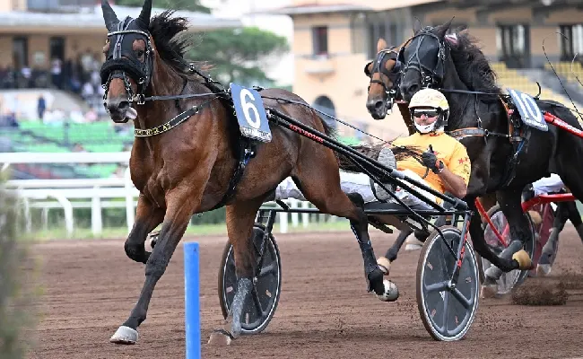 Ippica: grande spettacolo a Capannelle per le batterie del Derby Italiano del Trotto e delle Oaks del Trotto