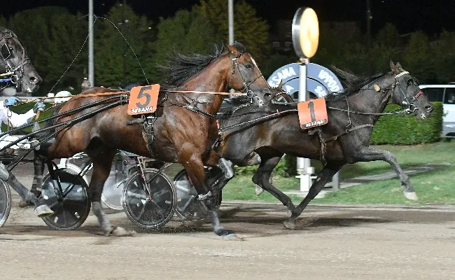 Ippica: all’Ippodromo Snai Sesana sabato con sette corse di trotto e gli occhi puntati su Freccia dei Venti nel Premio Brandani Gift Group Pescia