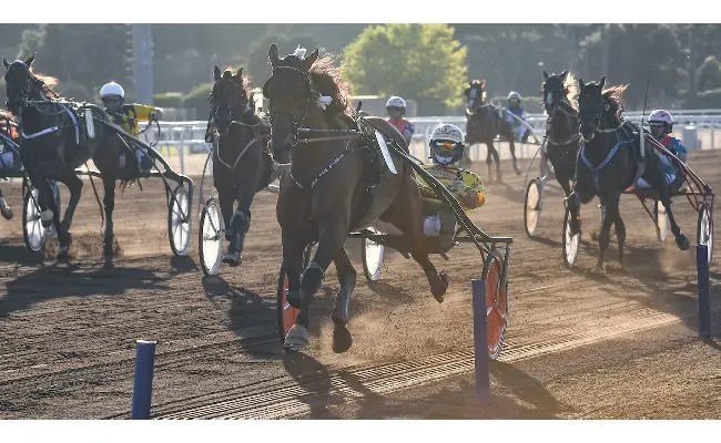 Ippica, weekend da non perdere all'Ippodromo Capannelle: sabato 23 al trotto con un anticipo di Derby, domenica 24 galoppo con tre listed