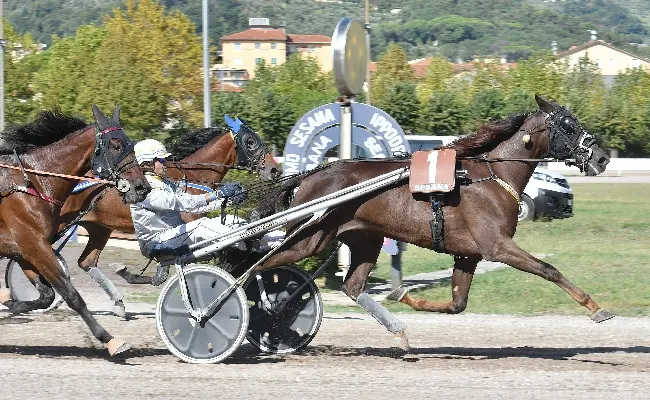 Ippica: all’Ippodromo Snai Sesana si brinda con Falanghina Roc che vince il clou del sabato pomeriggio, il Premio Brandani Gift Group Pescia