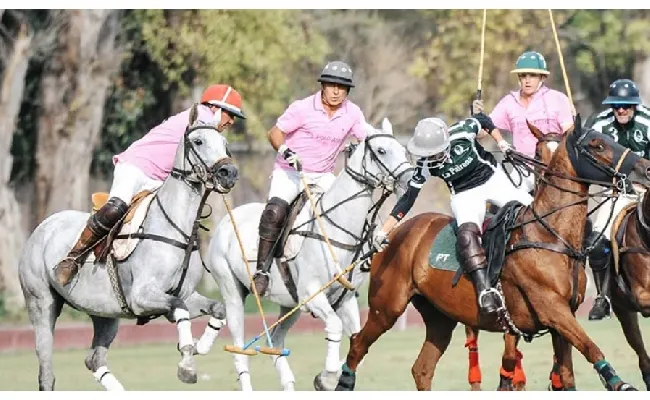 Polo, Fise: annunciato progetto di valorizzazione riservato ai cavalli A.A.S. nati e allevati in Sardegna