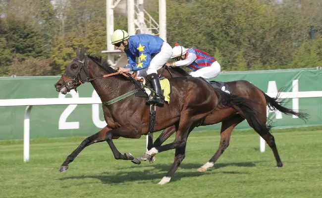 Ippica: all'Ippodromo Snai San Siro mercoledì di corse con il premio Dormelletto e altre cinque corse ricche di spunti tecnici