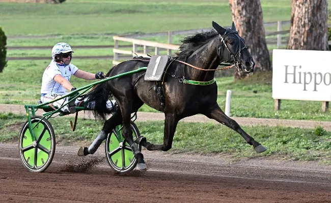 Ippica: weekend al trotto a Capannelle. Sabato 7: Criterium e aste Anact