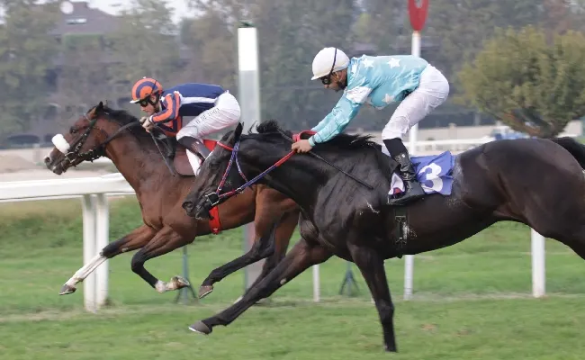 Ippica, bella domenca all’Ippodromo Snai San Siro, oltre 2100 spettatori per il Premio Verziere, vinto da Moonu, e per il Cumani con il sigillo di Dishina