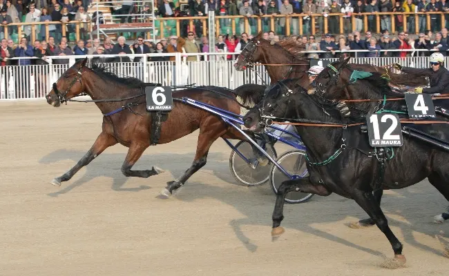 All'Ippodromo Snai La Maura di Milano martedì di trotto in attesa della super domenica con il Gran Premio delle Nazioni