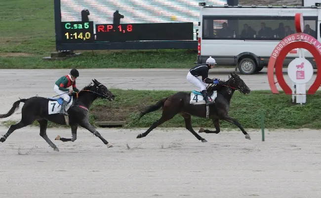 All'Ippodromo Snai La Maura, nel martedì dedicato alla scuderia Gnafà, doppio Gocciadoro con Falcon Dany Bar e Future As