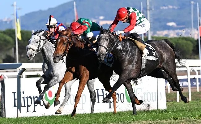 Ippica, la Gite trionfa nel Lydia Tesio, delude Estrosa la cavalla di Allegri. A Flag's Up il Premio Roma, mentre Westminister Night vince il Ribot