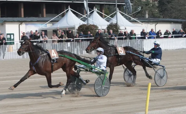 Ippica: domenica all’Ippodromo Snai La Maura la 39^ giornata con in risalto il Trofeo Luigi Canzi per gli allievi driver