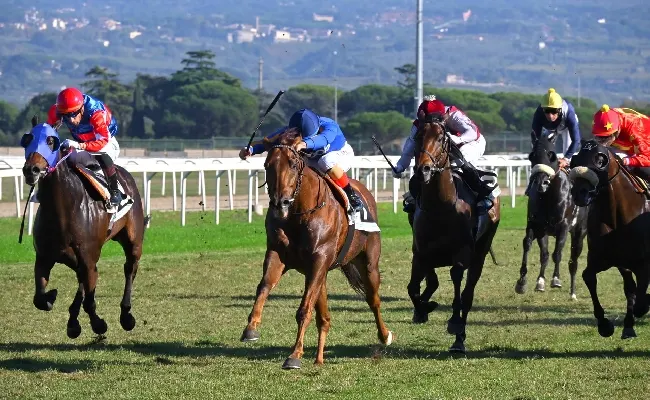 Ippica, domenica 19 novembre all'Ippodromo Capannelle si corre in onore del leggendario Nearco