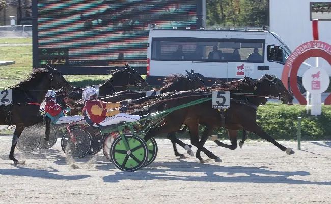 Ippica: il Premio Desiderio D’Esi, clou del venerdì all’Ippodromo Snai La Maura, lo vince Filly Mail, mentre Frank Gio delude
