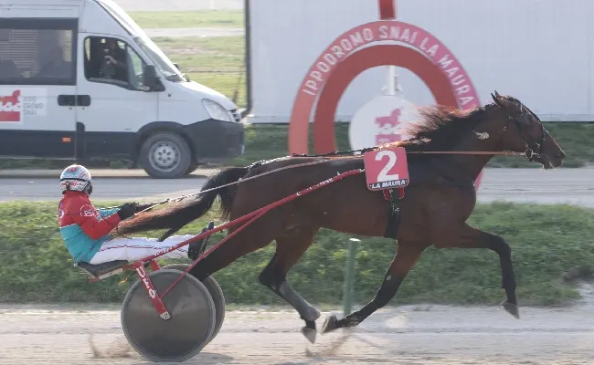 Ippica, venerdì all’ippodromo Snai La Maura di Milano in scena il Premio Allevamento Ek e il Premio Timone Ek. Attesa per la “Coppa di Milano” del 7 dicembre