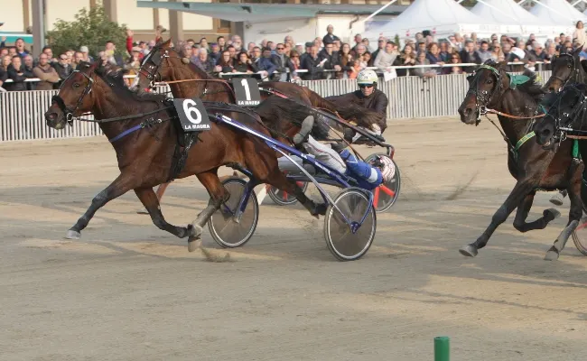 Ippica: venerdì all'ippodromo Snai La Maura di MIlano con l'ultima di trotto del 2023, il Criterium Ambrosiano e il Criterium Ambrosiano Filly dedicati all'allevamento della Serenissima